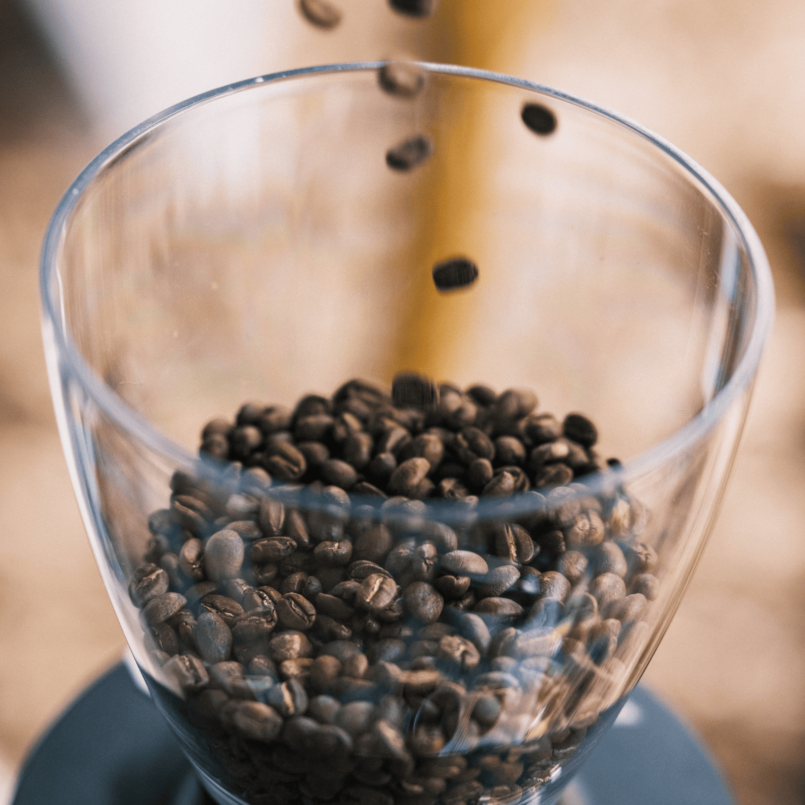 Mahlkönig Grinder X54